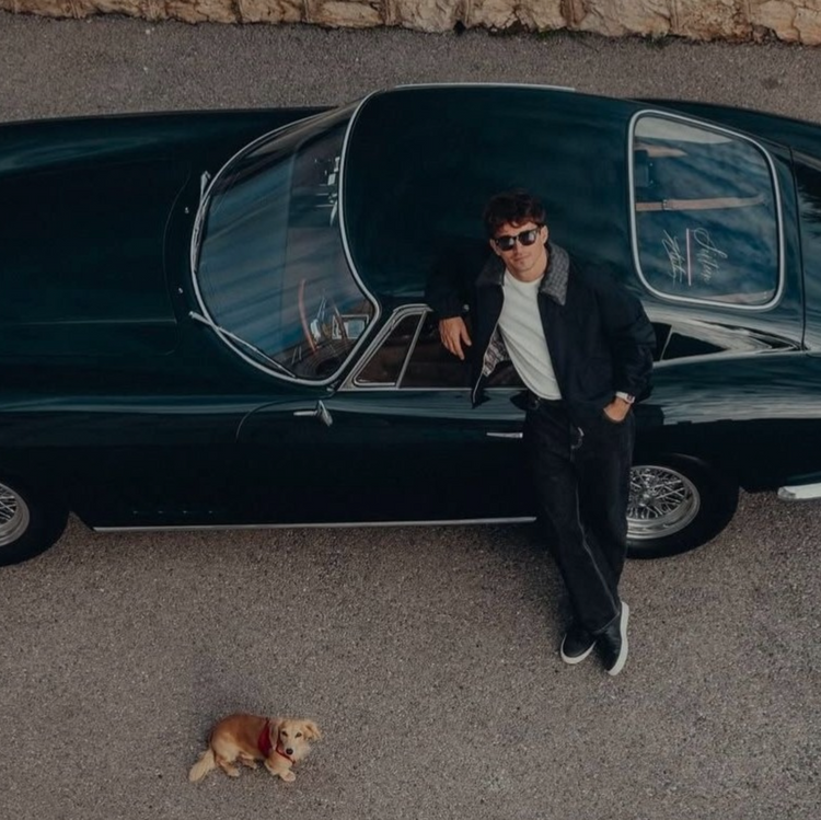 Stedford model leaning against a vintage car with a dog on the ground in front of it.