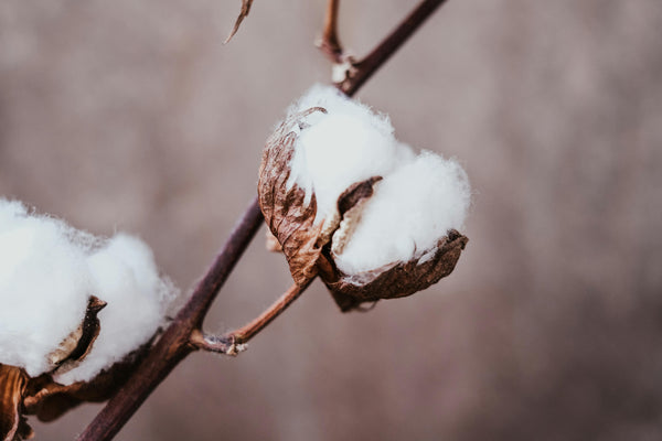 Why Natural Fibers Are Worth the Extra Cost